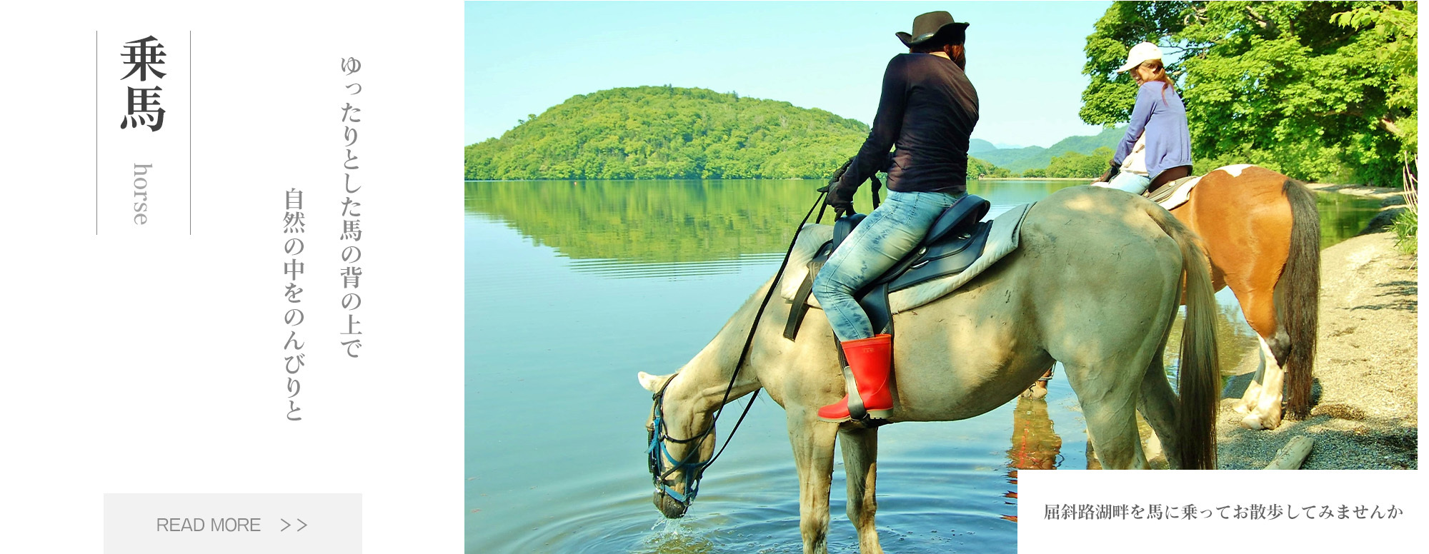 写真：湖、乗馬、ゆったりとした馬の背の上で自然の中をのんびりと
