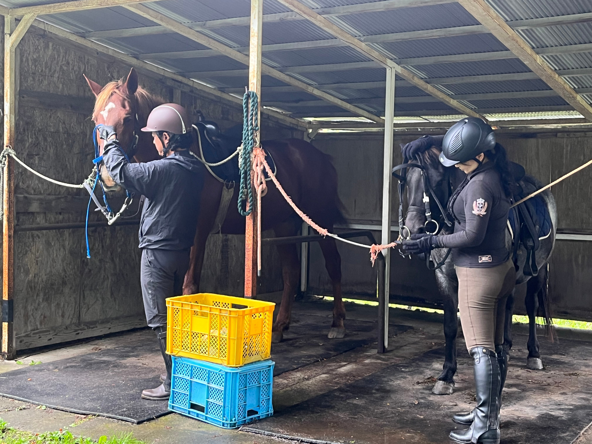 写真：乗馬