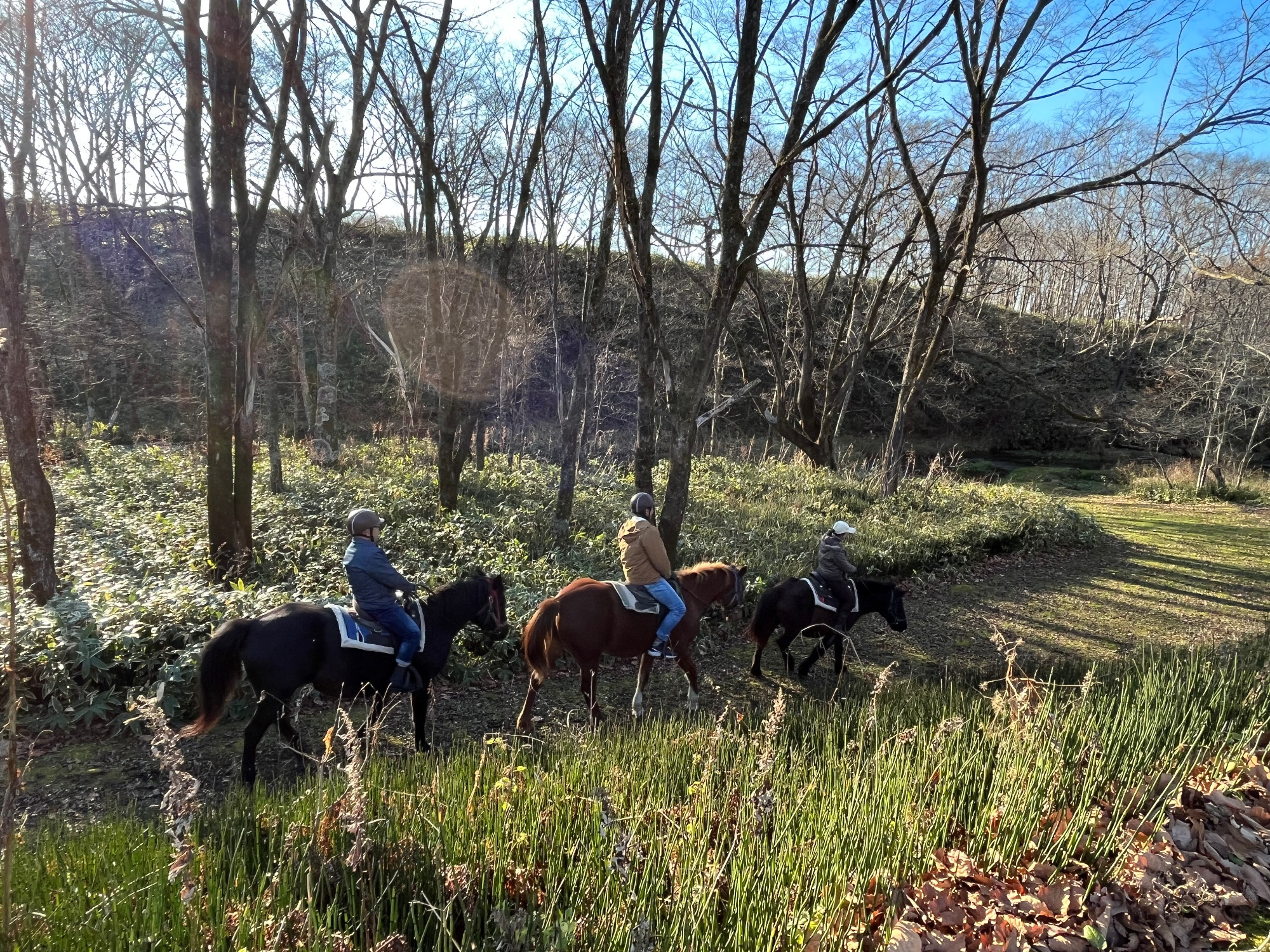 写真：乗馬