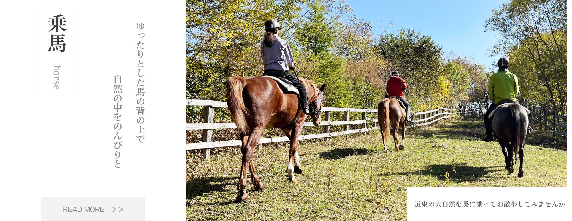 写真：湖、乗馬、ゆったりとした馬の背の上で自然の中をのんびりと